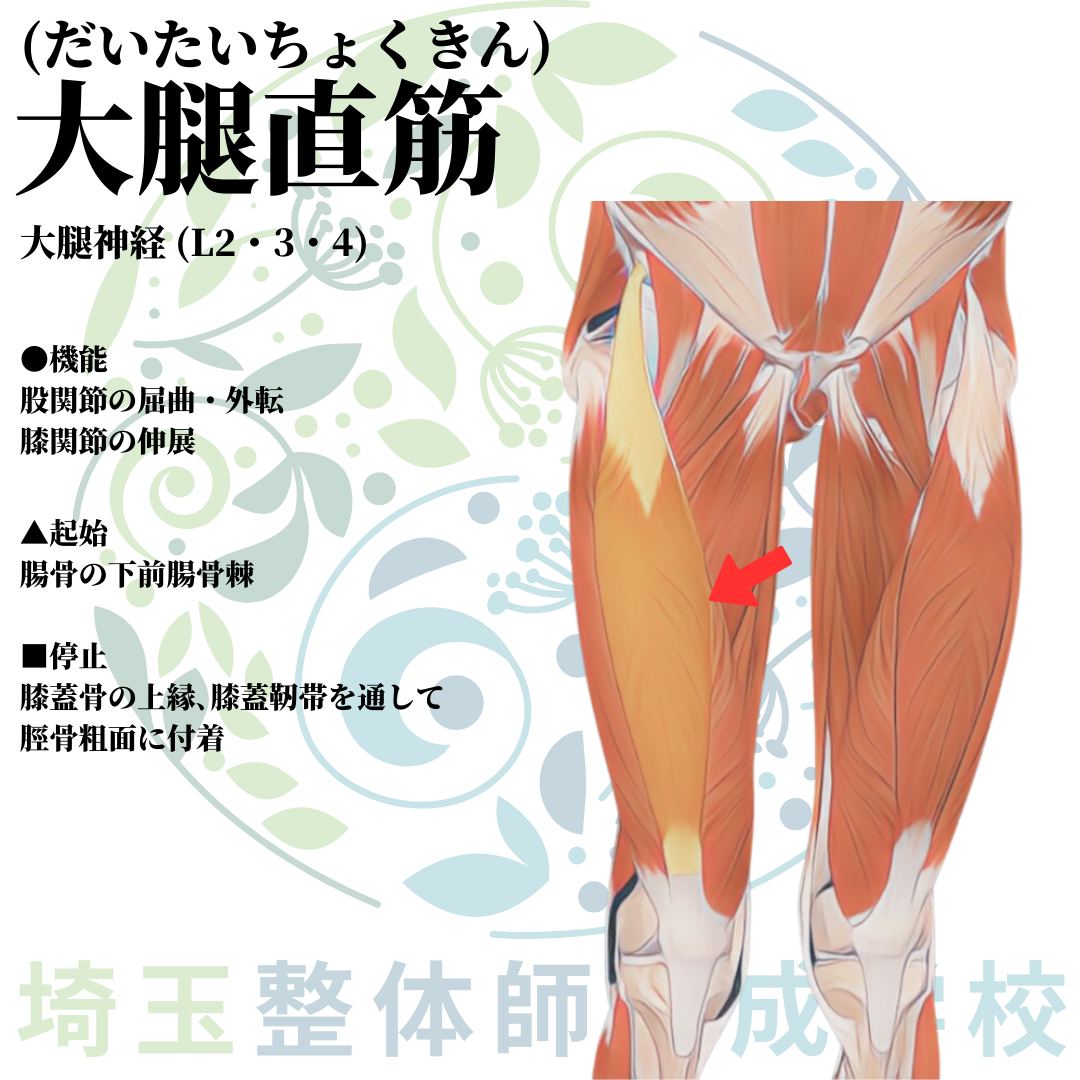 埼玉県さいたま市で整体師の資格を短期で最短2ヶ月で安く取得！ブログ画像2-11