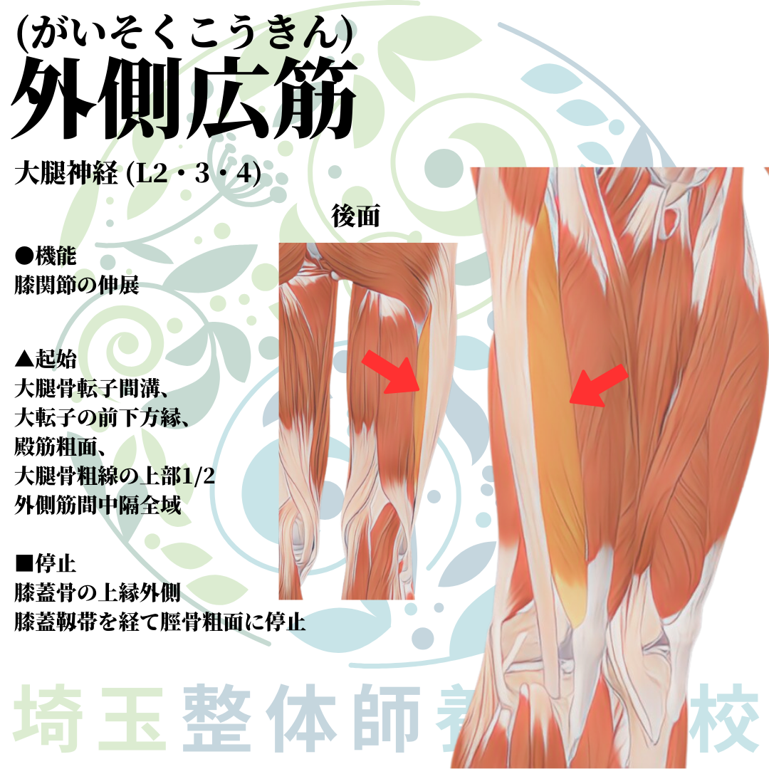 埼玉県さいたま市で整体師の資格を短期で最短2ヶ月で安く取得！ブログ画像2-12
