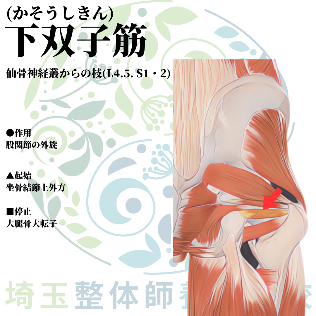 埼玉県さいたま市で整体師の資格を短期で最短2ヶ月で安く取得！ブログ画像2-18