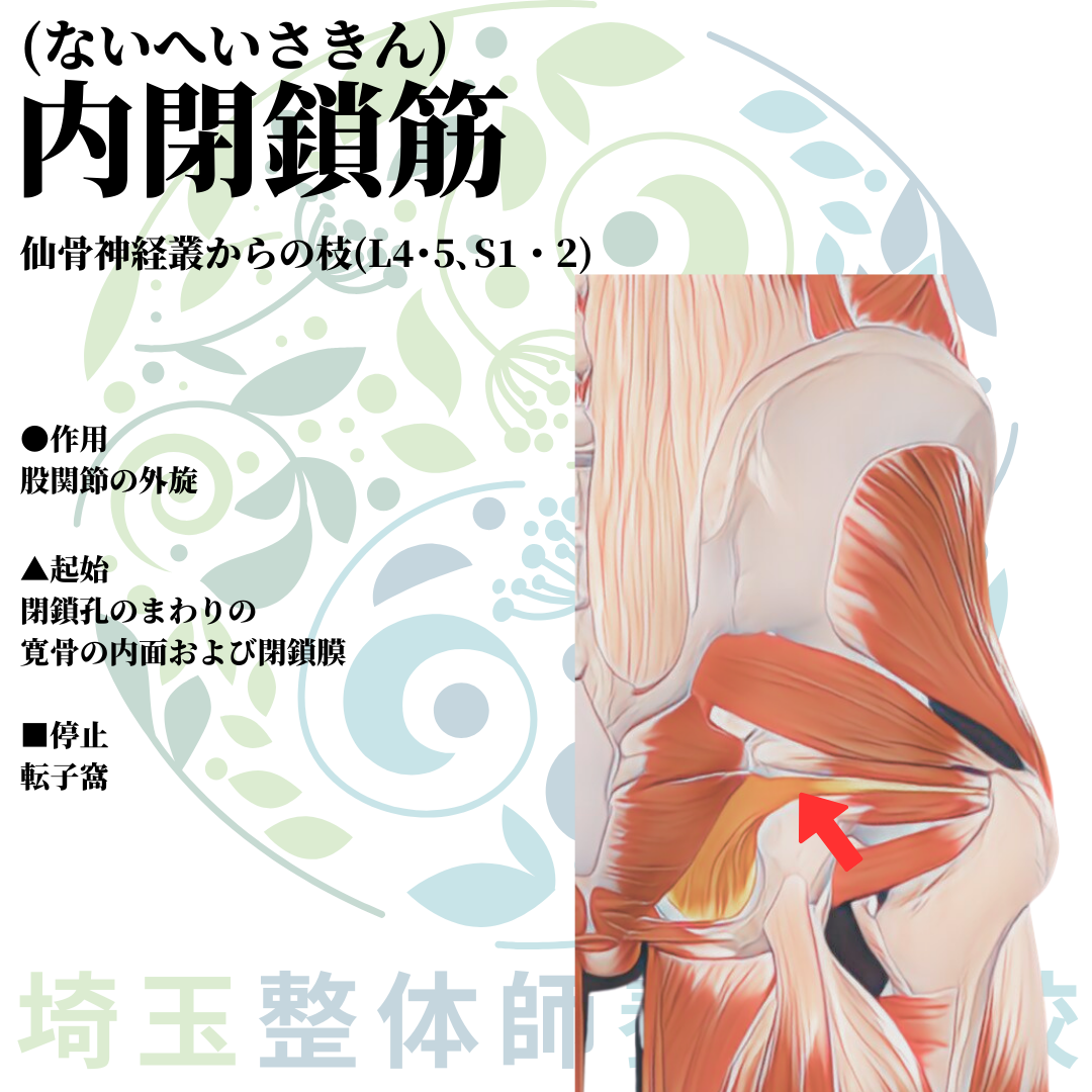 埼玉県さいたま市で整体師の資格を短期で最短2ヶ月で安く取得！ブログ画像2-20