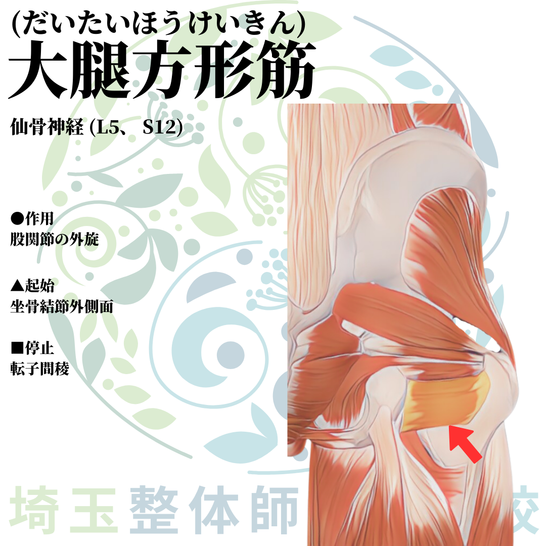埼玉県さいたま市で整体師の資格を短期で最短2ヶ月で安く取得！ブログ画像2-21