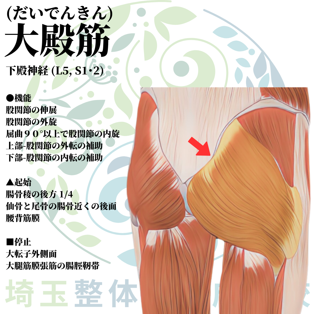埼玉県さいたま市で整体師の資格を短期で最短2ヶ月で安く取得！ブログ画像2-23