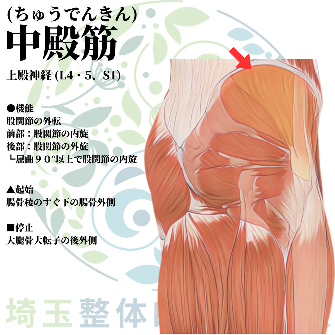 埼玉県さいたま市で整体師の資格を短期で最短2ヶ月で安く取得！ブログ画像2-24
