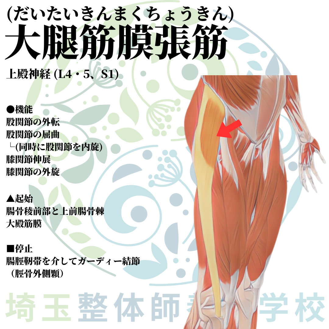 埼玉県さいたま市で整体師の資格を短期で最短2ヶ月で安く取得！ブログ画像2-4