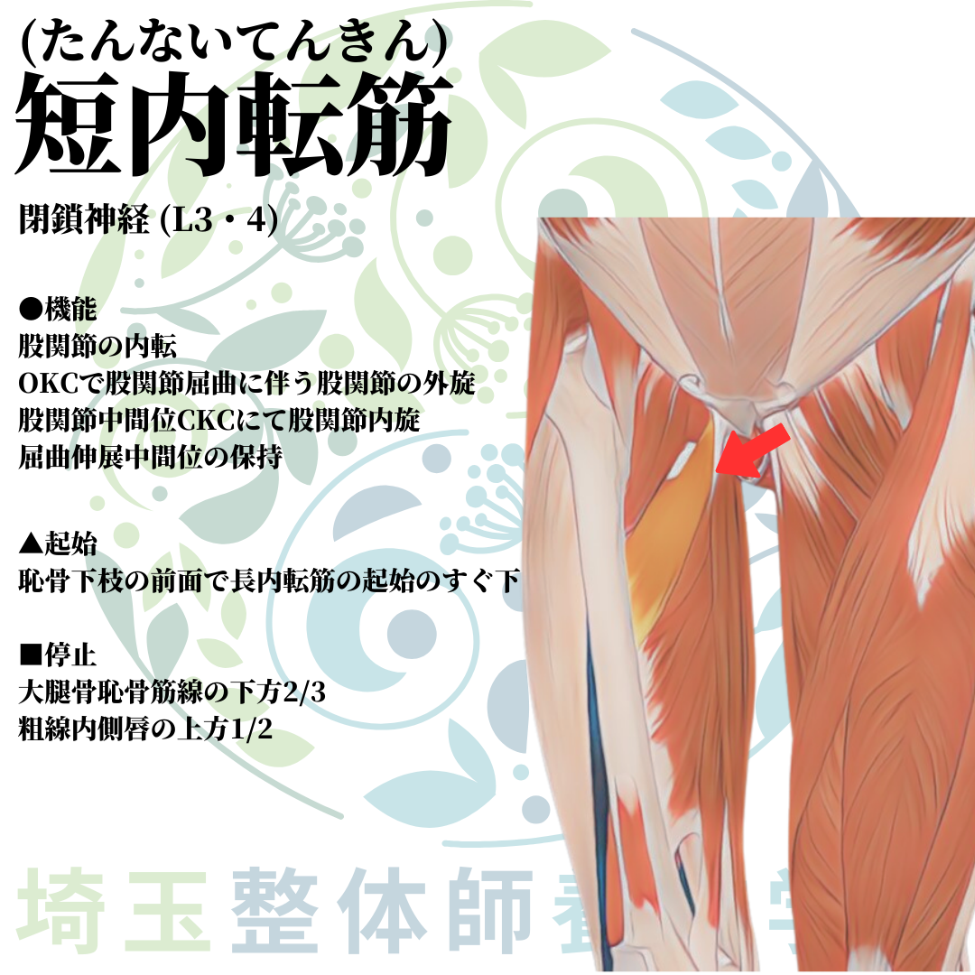 埼玉県さいたま市で整体師の資格を短期で最短2ヶ月で安く取得！ブログ画像2-7