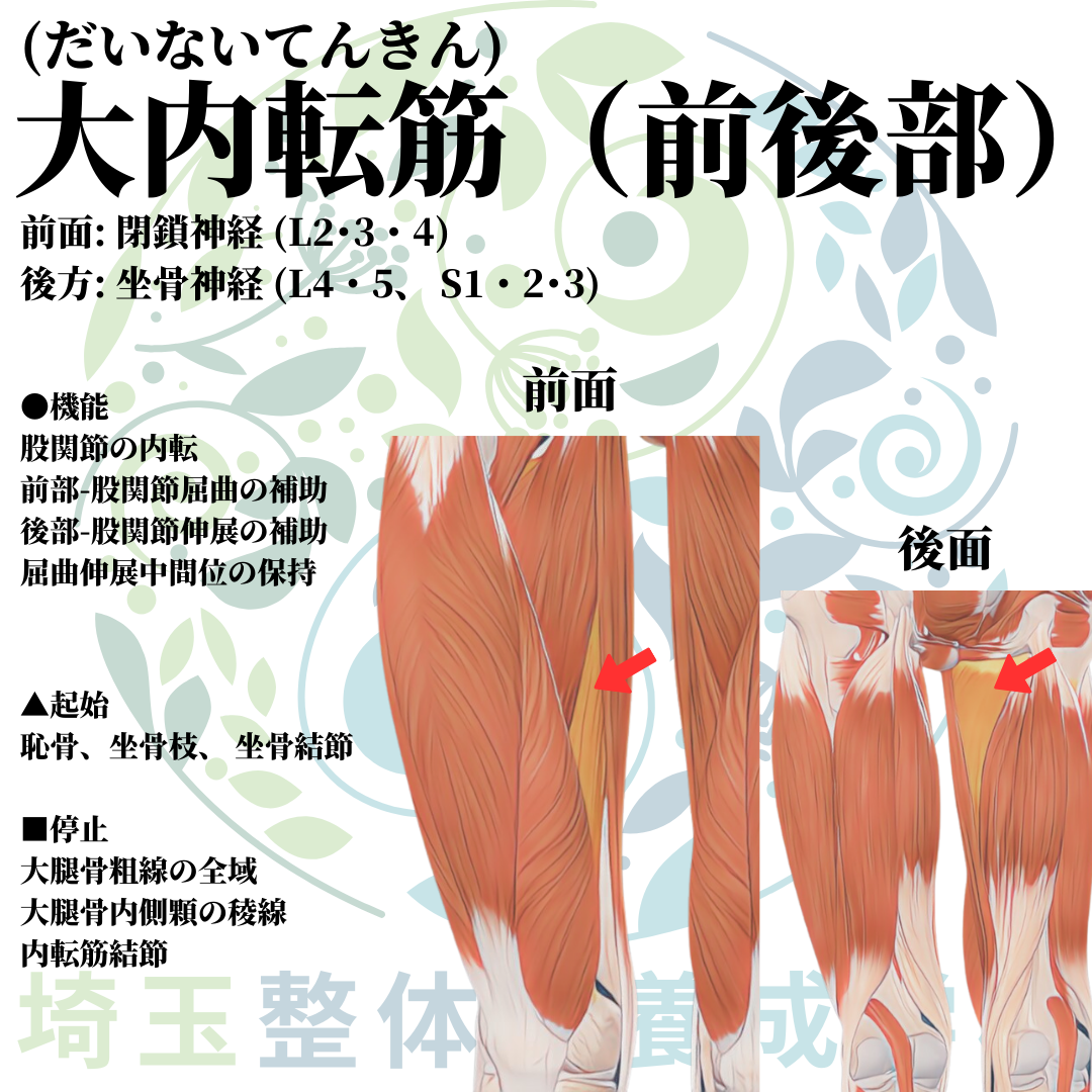 埼玉県さいたま市で整体師の資格を短期で最短2ヶ月で安く取得!ブログ画像2-9